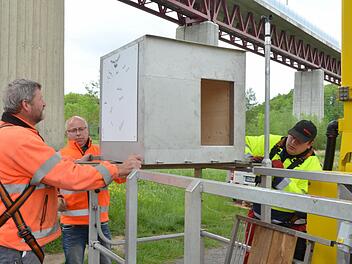 Die drei Zentner schwere Nisthilfe wird für den Aufstieg auf 30 Meter Höhe vorbereitet. Fotos: Rainer Lutz