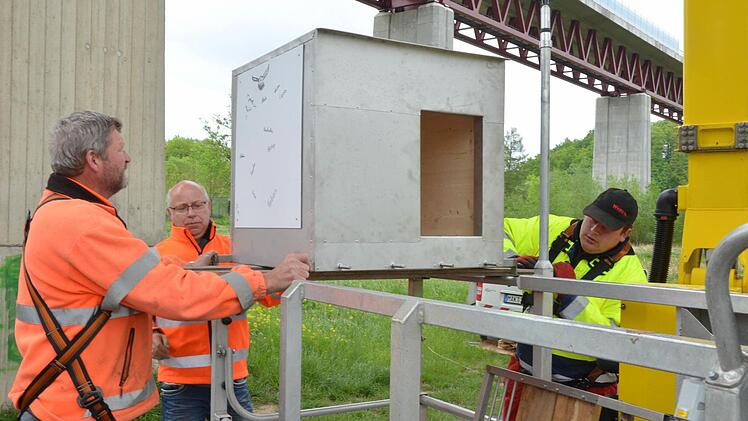 Die drei Zentner schwere Nisthilfe wird für den Aufstieg auf 30 Meter Höhe vorbereitet. Fotos: Rainer Lutz