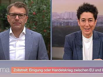 ZDF-Moderatorin Dunja Hayali musste über einen Versprecher ihres Interviewpartners Daniel Caspary schmunzeln.