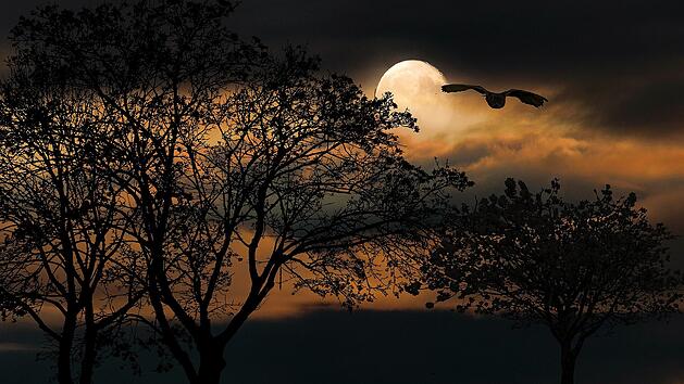 Rauhn&auml;chte ab Weihnachten - was steckt hinter dem Brauchtum