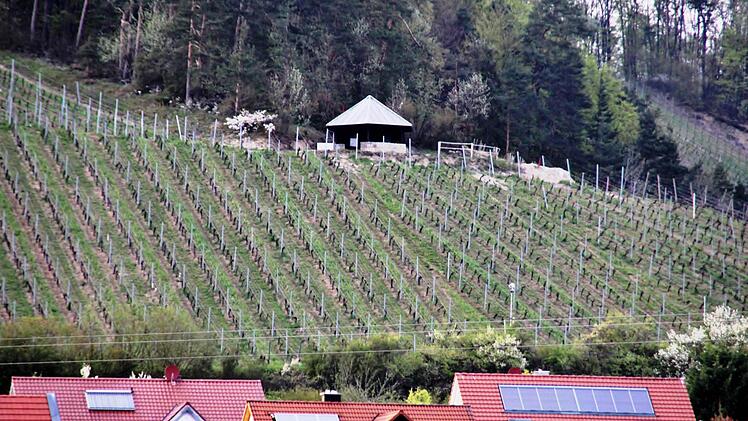 Dem Aussichtspavillon im Weinberg wird im Rahmen der Terroir f-Maßnahmen ausgebaut. Foto: Werner Vogel