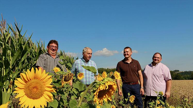 Im Bl&uuml;hstreifen stehen (von links) Landwirt Harald Peetz, Harald H&uuml;hnlein,  Syngenta-Saatschutzberater Christian Schneider und Harald K&ouml;ppel vom BBV.Adriane Lochner