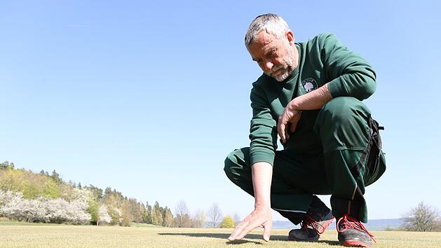 Noch wird es etwas Zeit dauern, ehe Greenkeeper James Croft aif dem Golfplatz des GC K&uuml;ps mit der Qualit&auml;t des Rasens zufreden ist. Foto: Marian Hamacher