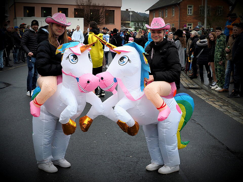 Fasching 2024 in Steinach