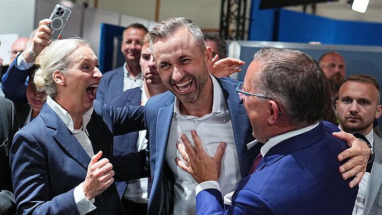 Landtagswahl in Sachsen-Anhalt - AfD