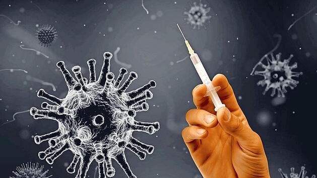 Wie sicher und wirksam sind die aktuell in Deutschland zugelassenen Impfstoffe? Eine Antwort darauf erhielten Interessierte bei einer von MdB Emmi Zeulner organisierten Online-Infoveranstaltung.