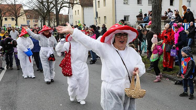 Faschingsumzug in der Bamberger Gartenstadt Foto: Barbara Herbst