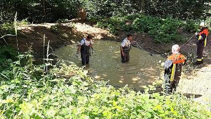 Die Feuerwehr suchte den schlammigen Weiher ab.