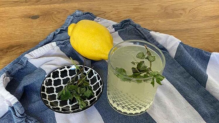 Zitronen Getr&auml;nk