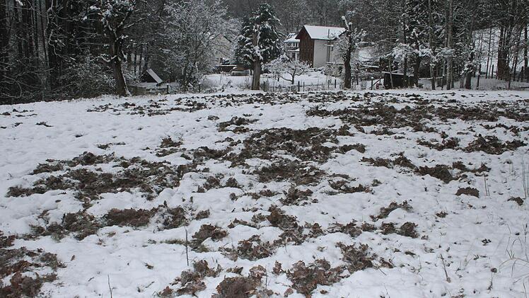 Auch die Pferdekoppeln sind komplett umgepflügt. Ehe sie wieder genutzt werden können, müssen sie neu eingebnet werden.