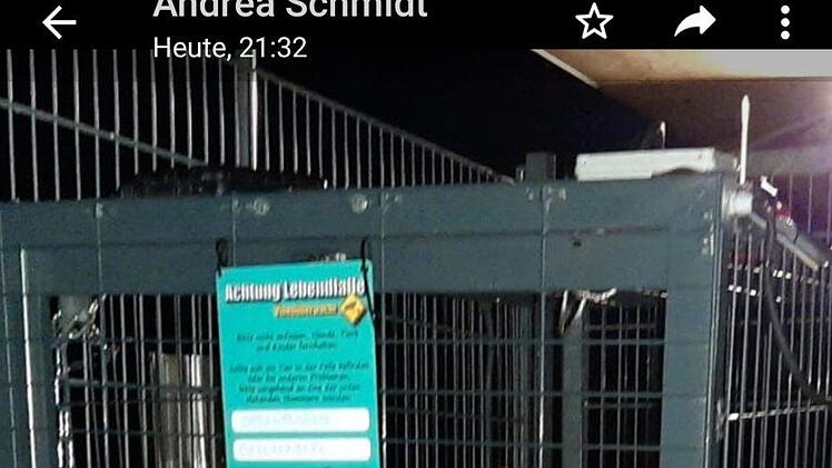Der Hund sitzt in der Falle.  Foto: privat