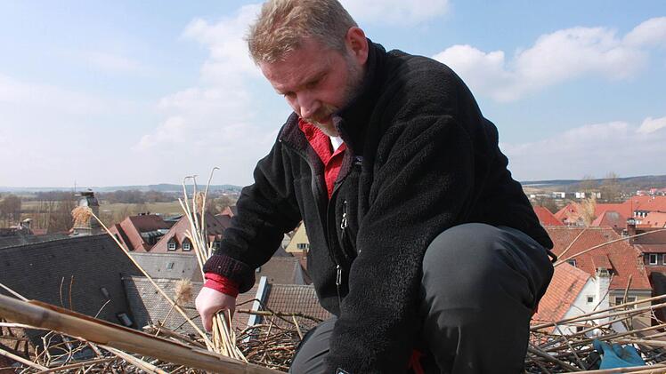 Edmund Lenz präpariert den Horst auf der Alten Mälzerei in Höchstadt.