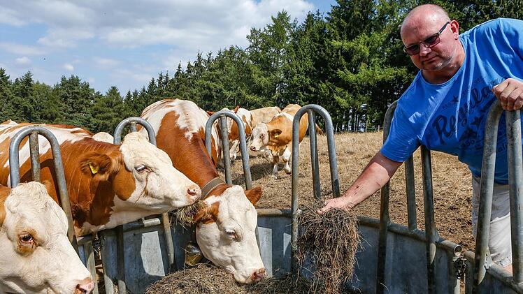 Wintervorrat statt Frischfutter: Die Dürre zwingt den Bio-Landwirt Norbert Böhmer aus dem fränkischen Plankenfels dazu, drei Monate früher als sonst zuzufüttern.  Matthias Hoch