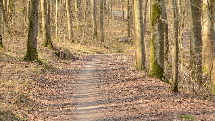 Kilometer 14: Die nächsten Kilometer führt die Strecke in Richtung Euerdorf. Pittoresk und meist an der Saale entlang. Ein Streckenabschnitt mit Wald und Wiese fast zum Genießen. Eine Verpflegungsstation inklusive.