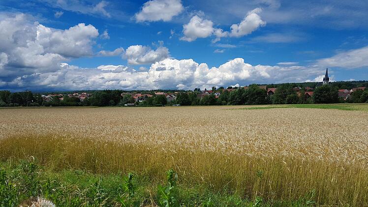 Hitze und Trockenheit sind die Feinde der Landwirtschaft, da hier die  Erwärmung durch den Klimawandel höher als in anderen Gegenden ausfällt.  Foto: Dieter Britz
