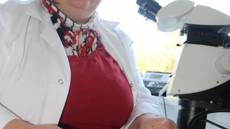 Laborantin Anette Senftenberger-Geis separiert mit Hilfe des Binakulars ein winziges Würzelchen, um es im Labor noch detaillierter untersuchen zu lassen. FOTO Diana Fuchs