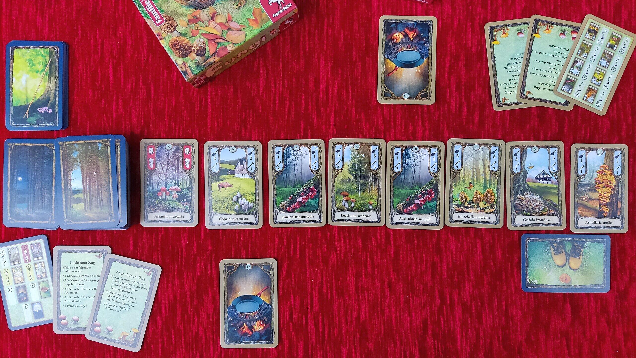 SpieleTest "Fungi" Pilzesammeln im eigenen Wohnzimmer KartenspielTipp für zwei Personen