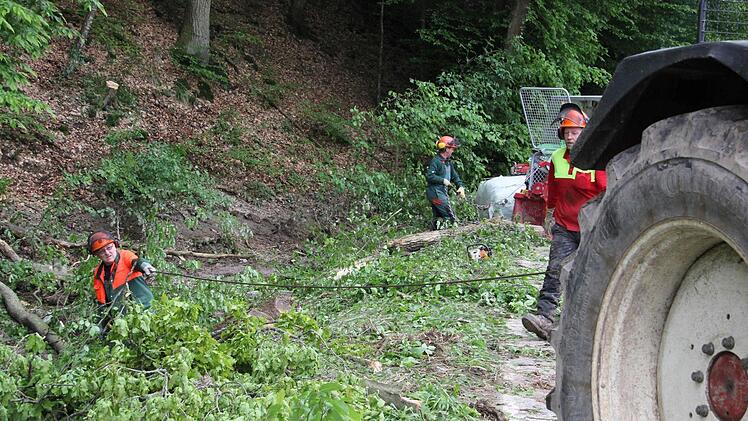 Heinz Rumpel (links), Anwohner an der Paßmühle, und seine Helfer fällten am Dienstag noch mehrere Bäume, die umzustürzen drohten.