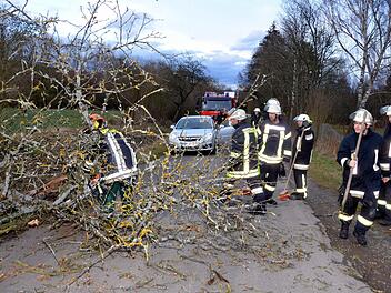 Die Garitzer Feuerwehrmänner im Einsatz: Ein abgerissener Baumast hatte die Zufahrt zum Heiligenhof am Freitagabend kurzzeitig unpassierbar gemacht. Fotos: Peter Rauch