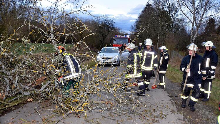 Die Garitzer Feuerwehrmänner im Einsatz: Ein abgerissener Baumast hatte die Zufahrt zum Heiligenhof am Freitagabend kurzzeitig unpassierbar gemacht. Fotos: Peter Rauch