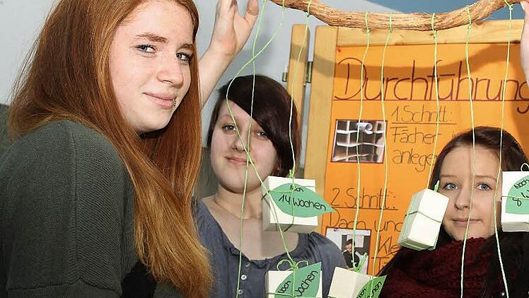 Janas (links), Katrins (Mitte) und Nataschas Aufgabe: ein Kalender, der die Tage bis zu den Abschlussprüfungen rückwärts zählt. Foto. Jan Koch