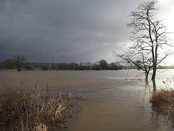 Auch die Rotmainauen bei Melkendorf waren überflutet. Foto: Alexander Hartmann