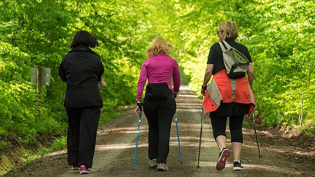 F&uuml;r die "romantischen" Gemeinden Kasendorf, Thurnau und Wonsees, in denen es auch herrliche Wanderwege gibt, hat der Tourismusverein geworben. Jetzt steht er vor der Aufl&ouml;sung. Symbolbild: dpa