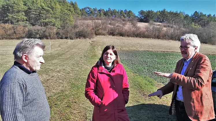 Staatssekretärin Dr. Manuela Rottmann ließ sich von Landwirt Helmut Kienzle (links) und dem BN-Landesvorsitzenden Richard Mergner über das BN-Projekt Agroforst im Gansthal informieren.