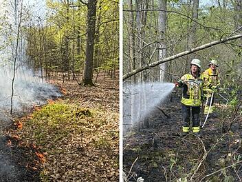 SplitImage 1777302536