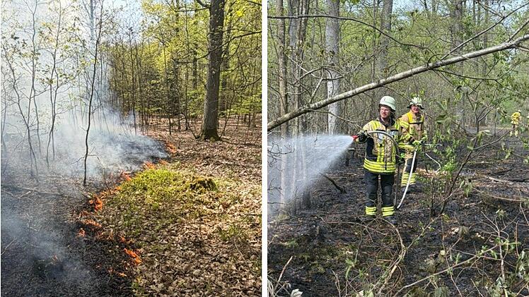 SplitImage 1777302536