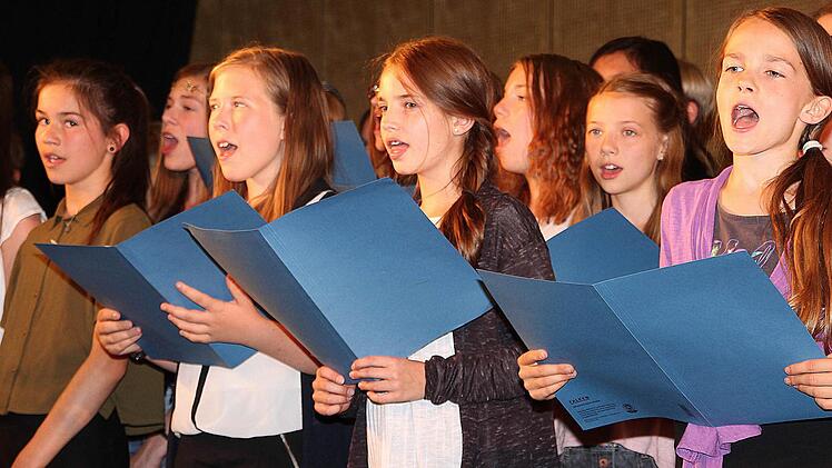 Die Schüler des Philipp-Schönborn-Gymnasiums Münnerstadt begeisterten bei ihrem Sommerkonzert mit Musik und Gesang. Foto: Dieter Britz