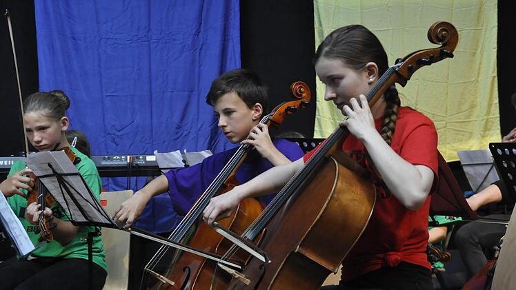 Streicher und Bläser bilden das Schulorchester des Jack-Steinberger-Gymnasiums unter der Leitung von Christel Gimmler.  Foto: Peter Klopf