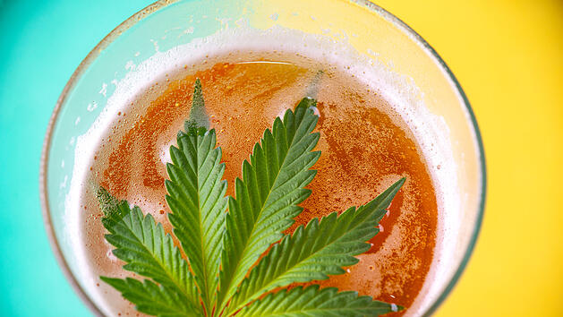 Cannabis, Bier, Alkohol, Mischkonsum