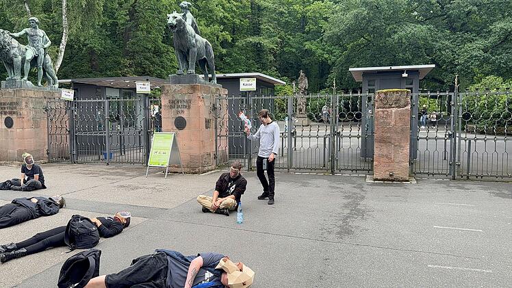Vor Tiergarten Nürnberg: Aktivsten simulieren Paviantötung