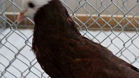 Foto: Richard Sänger