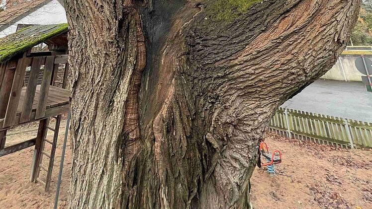 SplitImage 1733237589