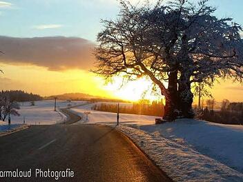 Foto: Gina Bonath (Marmaloud Photograpfie)