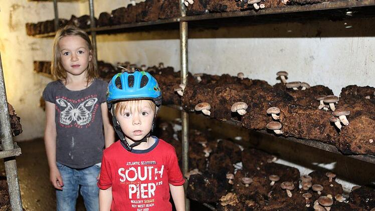 Einige Shiitake-Pilze sind schon wieder gewachsen - zur Freude von Sophia und Moritz Wild. Foto: Barbara Herbst