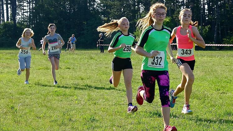Waldlauf 2016. Foto: Gerd Schaar