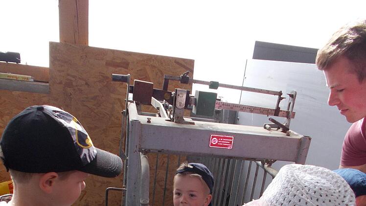 Jonas l&auml;sst sich wie ein K&auml;lbchen wiegen. Foto: Elke Schneider