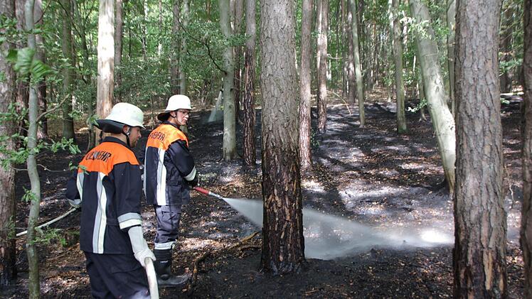 Den Waldbrand bei Ailsbach hatte die Feuerwehr schnell unter Kontrolle.  Foto: Andreas Dorsch