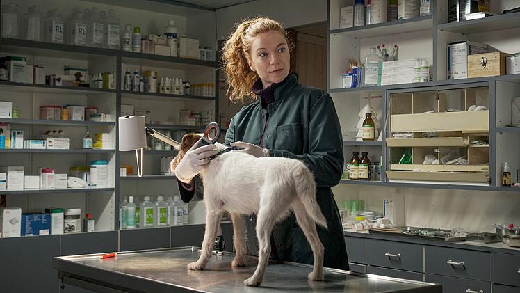 Tier&auml;rztin Jule (Marleen Lohse) behandelt den Hund einer jungen Frau. Sie ahnt nicht, dass weder der Name des Tieres noch der der Frau die sind, die diese angibt.