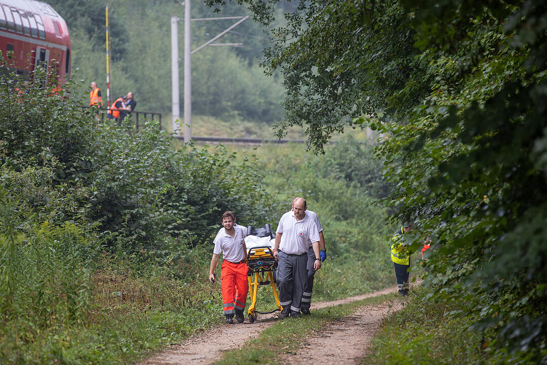 In der Nähe von Roth: Baum stürzt auf Gleise - Zugverbindung lahm gelegt