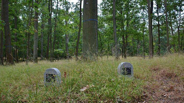 Schon mehr als 60 Urnenbestattungen gibt es auf dem neuen Naturfriedhof St. Ursula in Alsleben. Foto: Friedrich