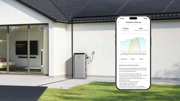 Speicher, Wechselrichter und Energiemanagement: