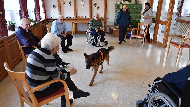 Therapiehund Aramis bei den Senioren im Kulmbacher WohnstiftFoto: Ronald Rinklef