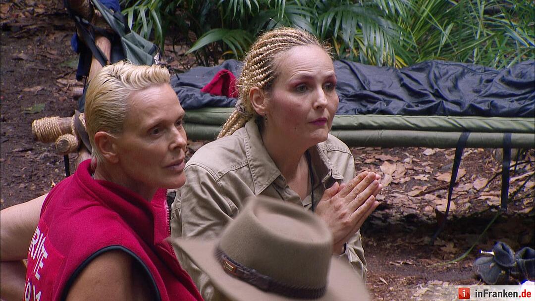 Ich bin ein Star _ Holt mich hier raus!