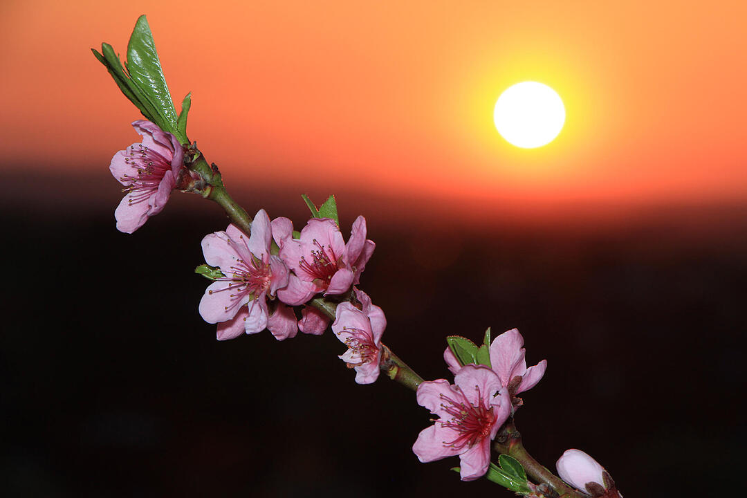 Fotos Konrad Thomann