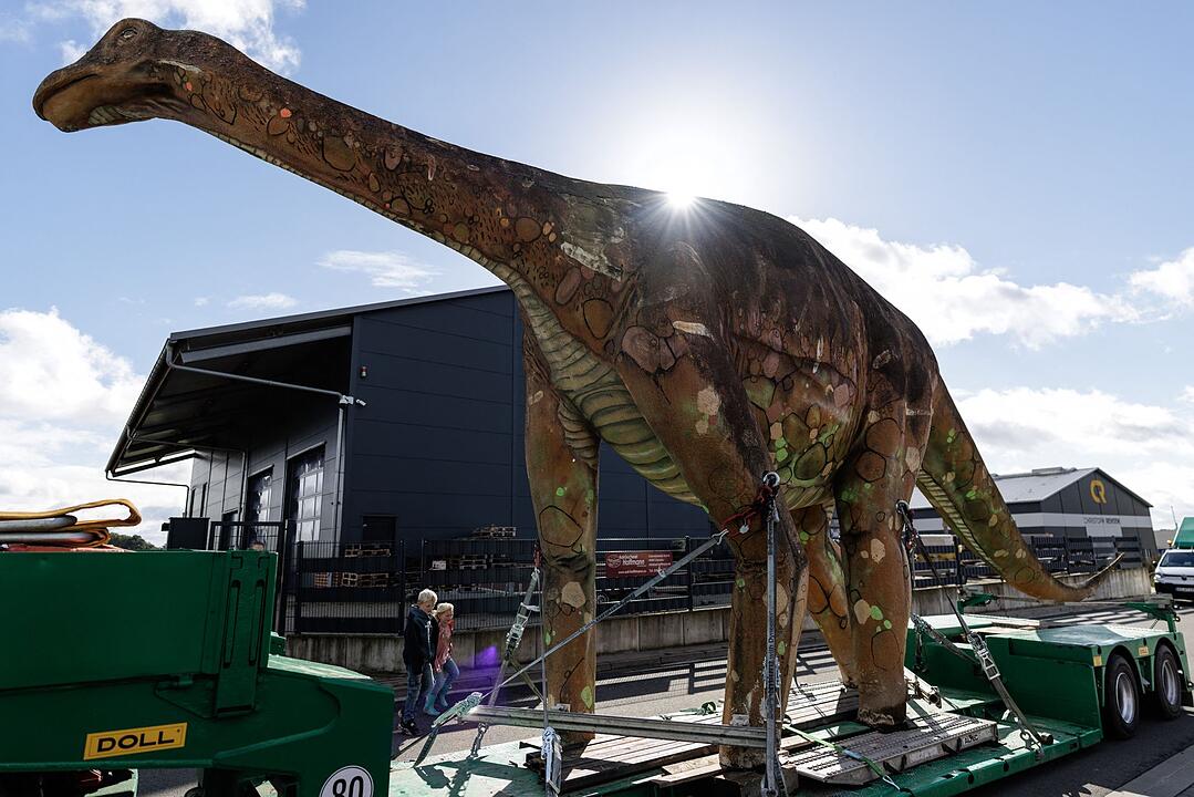 XXL-Dino &bdquo;eLise&ldquo; bekommt ein neues Zuhause
