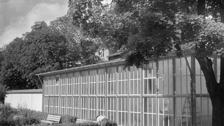 Das alte Palmenhaus, das 1976 abgerissen wurde. Aufnahme von 1950. Foto: CT-Archiv